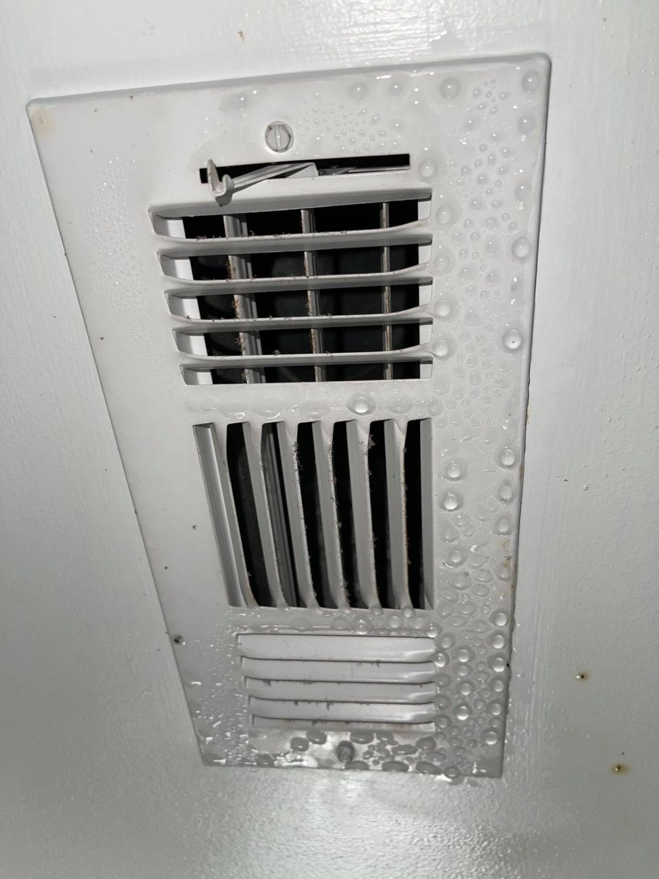 Ceiling Vent Condensation Fixed in Bessemer, AL